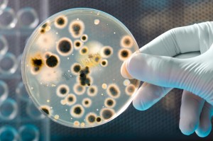 iStock 000010217434Small 300x199 Is it Normal to Experience Discharge or Pus During Treatment with Curaderm?